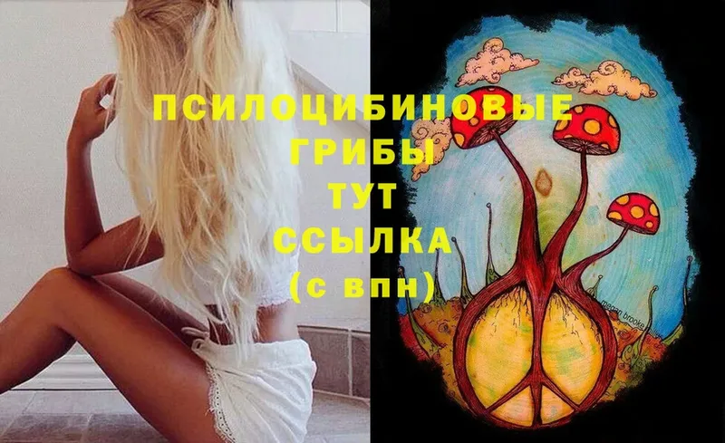 Галлюциногенные грибы Magic Shrooms Будённовск